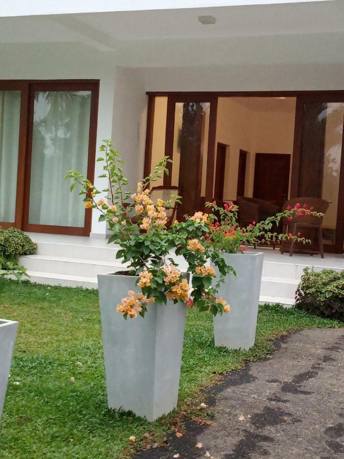 Colibri Villa Maggona Kültér fotó