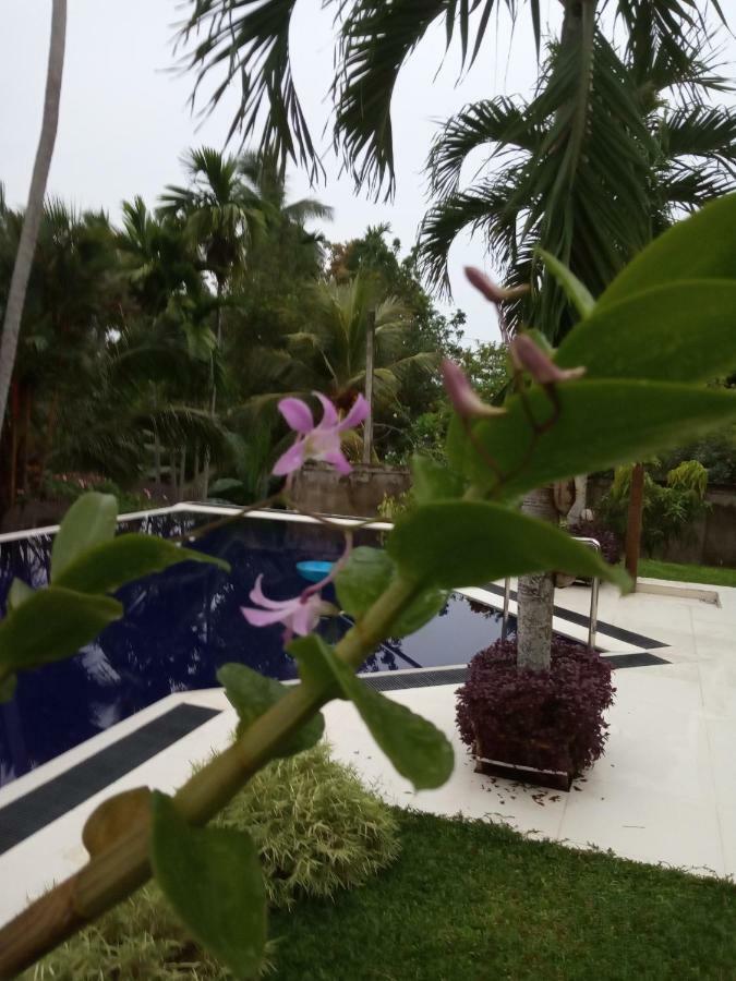 Colibri Villa Maggona Kültér fotó